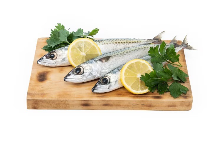 ikan protein tinggi, ikan terbaik untuk ibu hamil, jenis ikan kaya omega-3, manfaat ikan kembung, ikan sehat untuk anak, protein hewani untuk MPASI